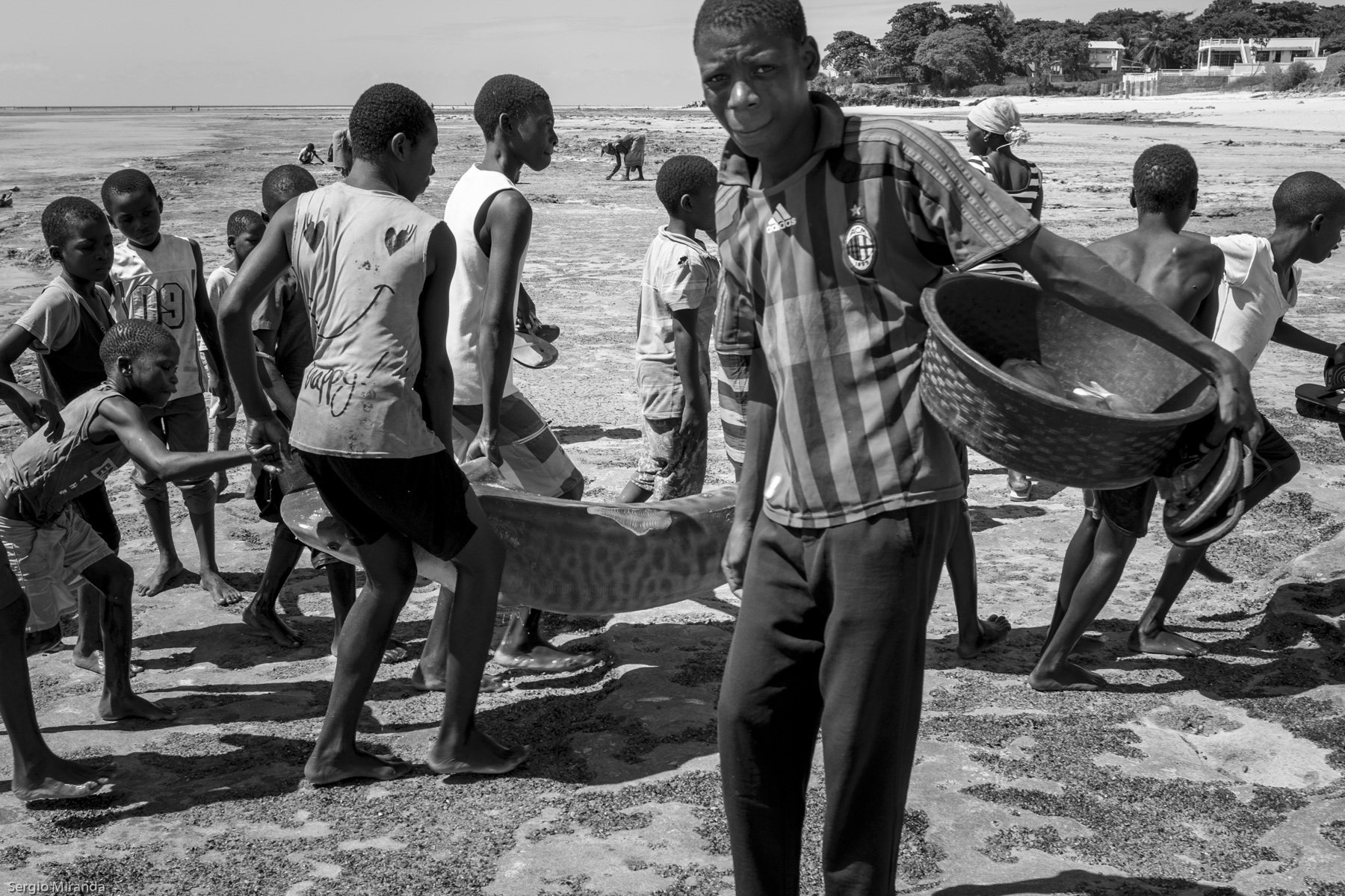 africa 16
