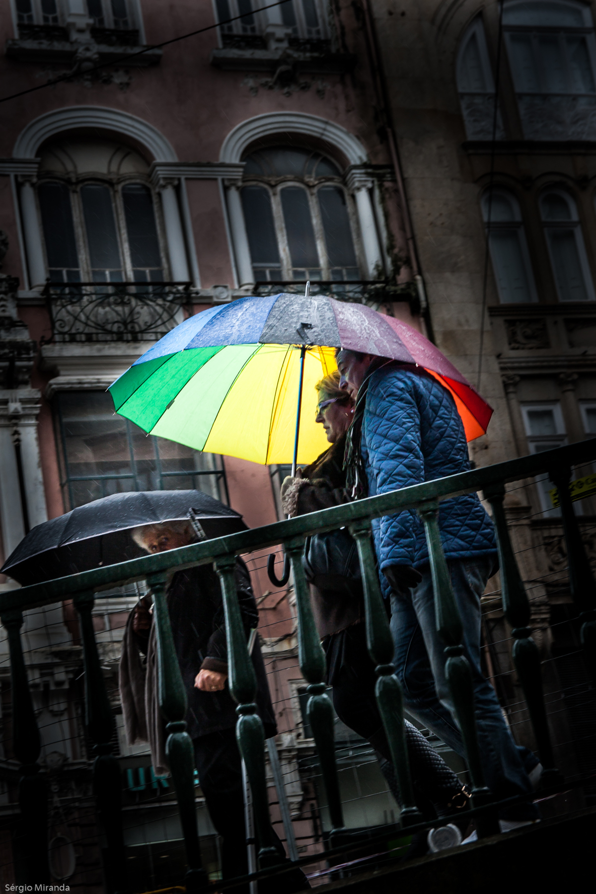 umbrella-05