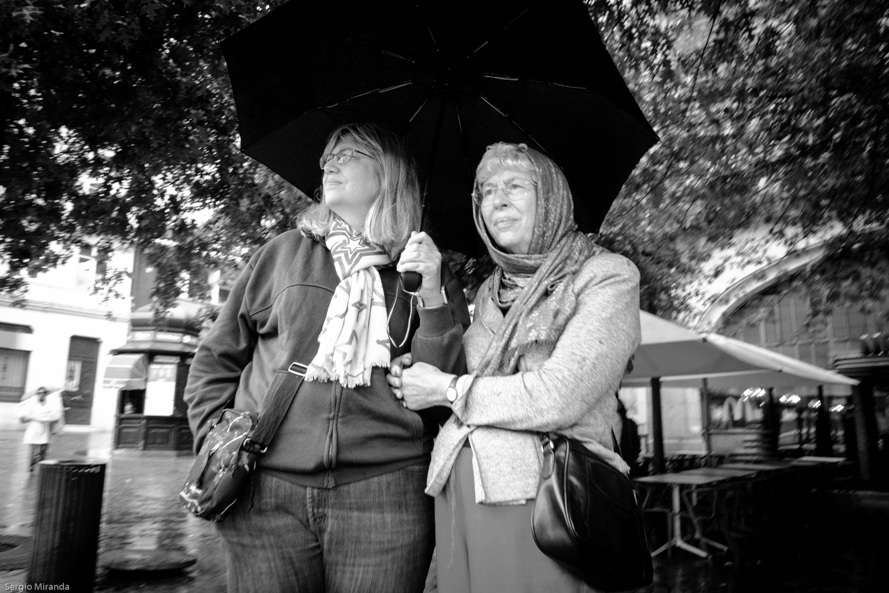 umbrella-11